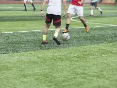 国米遭凯拉,特洞穿球门,欧冠赛场独,凤凰彩票会员登录入口,Phoenix,Lottery凤凰彩票官网,凤凰彩票Phoenix,Lottery