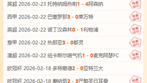 里尔对阿斯顿维拉交锋分析：实力相当